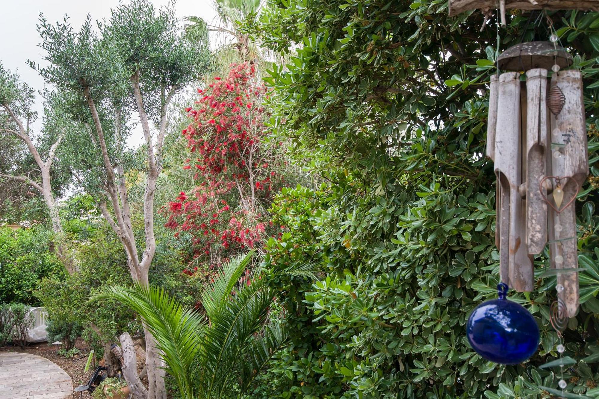 Homey Suite In Zichron Yaakov Zichron Ja’akow Exterior foto